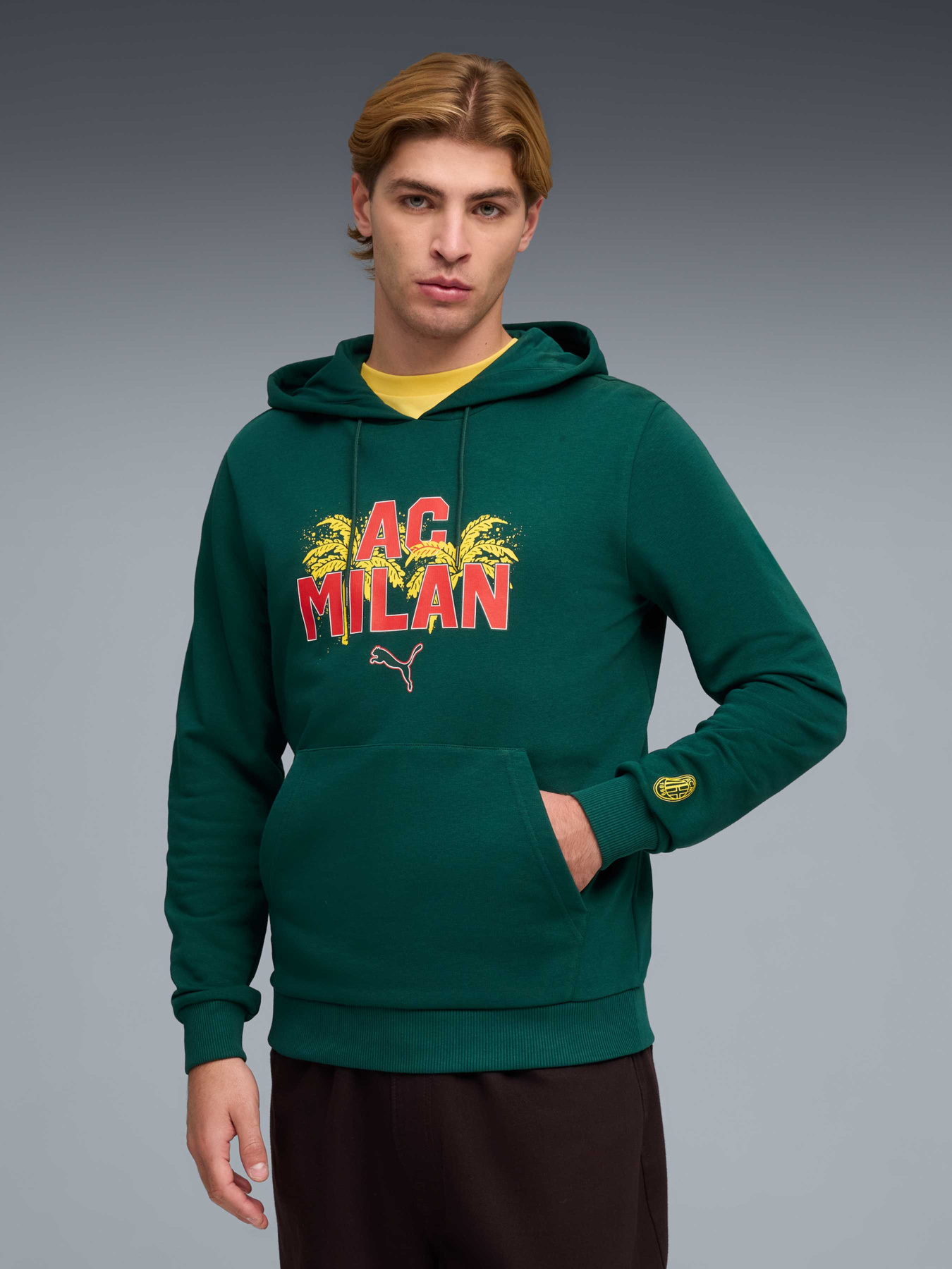 Худи и свитшоты PUMA Acm Ftblculture Hoodie модель 784720 Фото