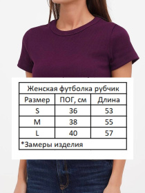 Футболки и поло HiBrand модель Wm287 Фото