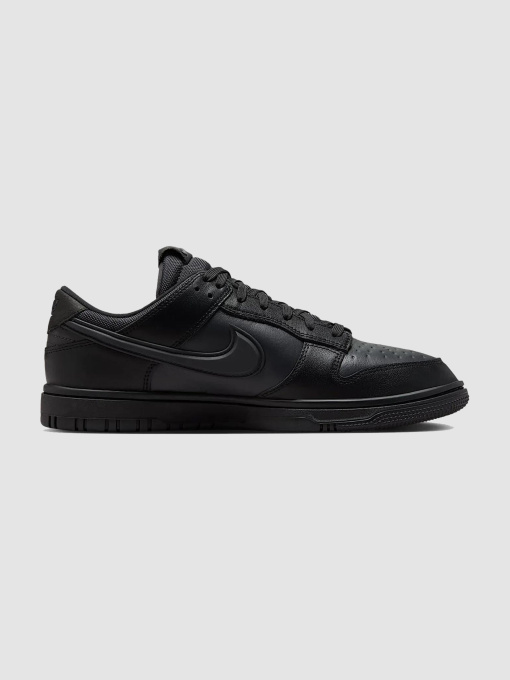 Кросівки NIKE Dunk Low Gore-Tex модель HQ2053-001 Фото