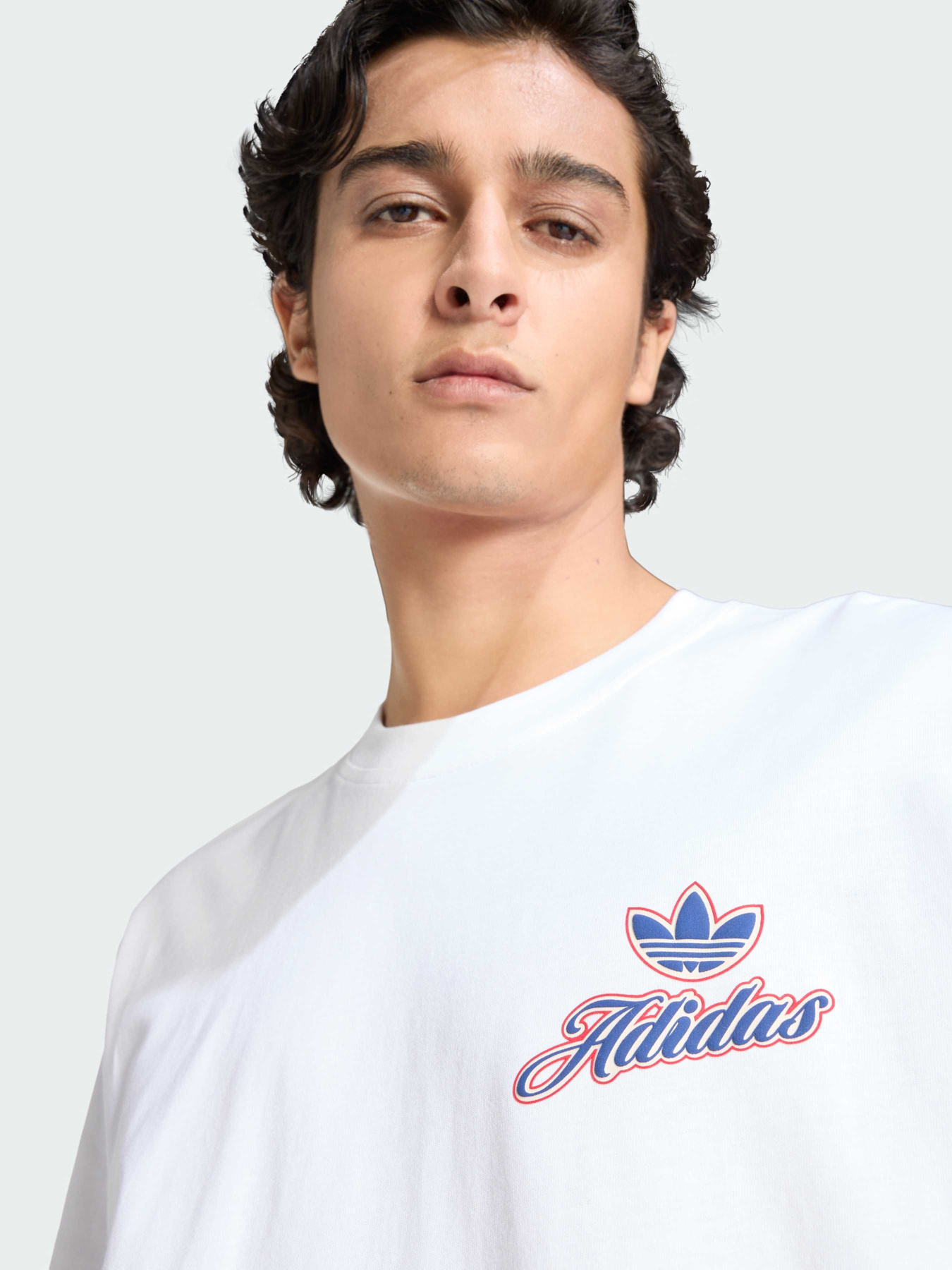 Футболки и поло Adidas Graphics модель KE2248 Фото