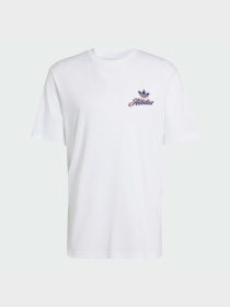 Футболки и поло Adidas Graphics модель KE2248 Фото