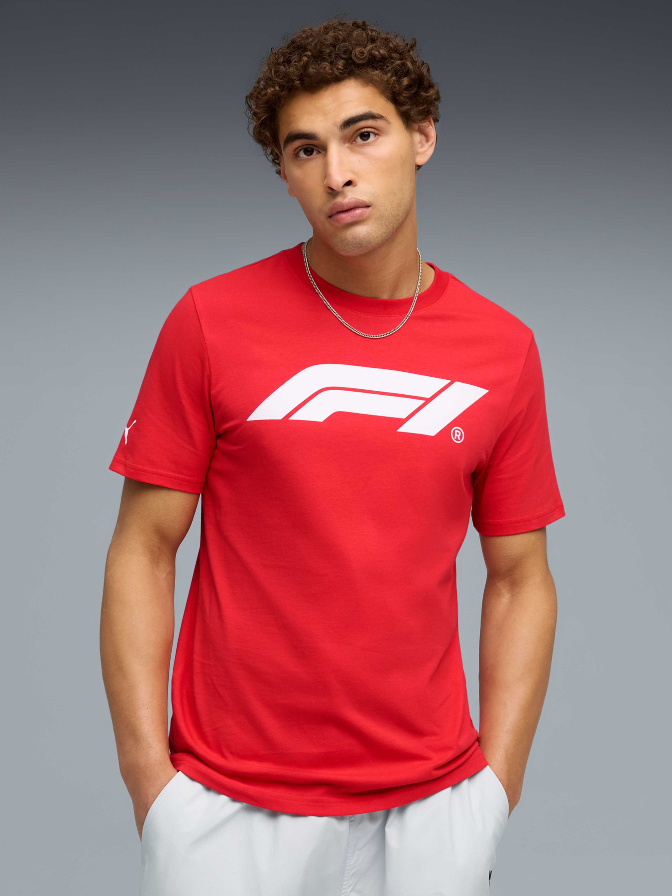 Футболки і поло PUMA F1 Ess Logo Tee 180g модель 633264 Фото