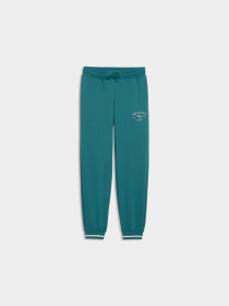 Брюки PUMA Class Sweatpants модель 692533 Фото
