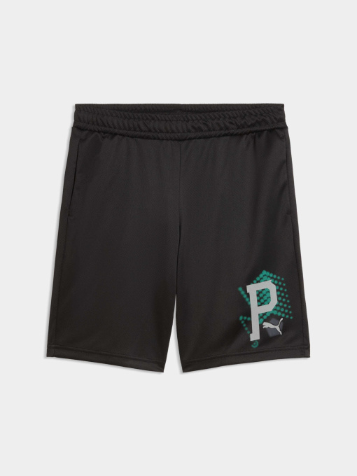 Шорты PUMA Active Sports Poly Shorts модель 691759 Фото