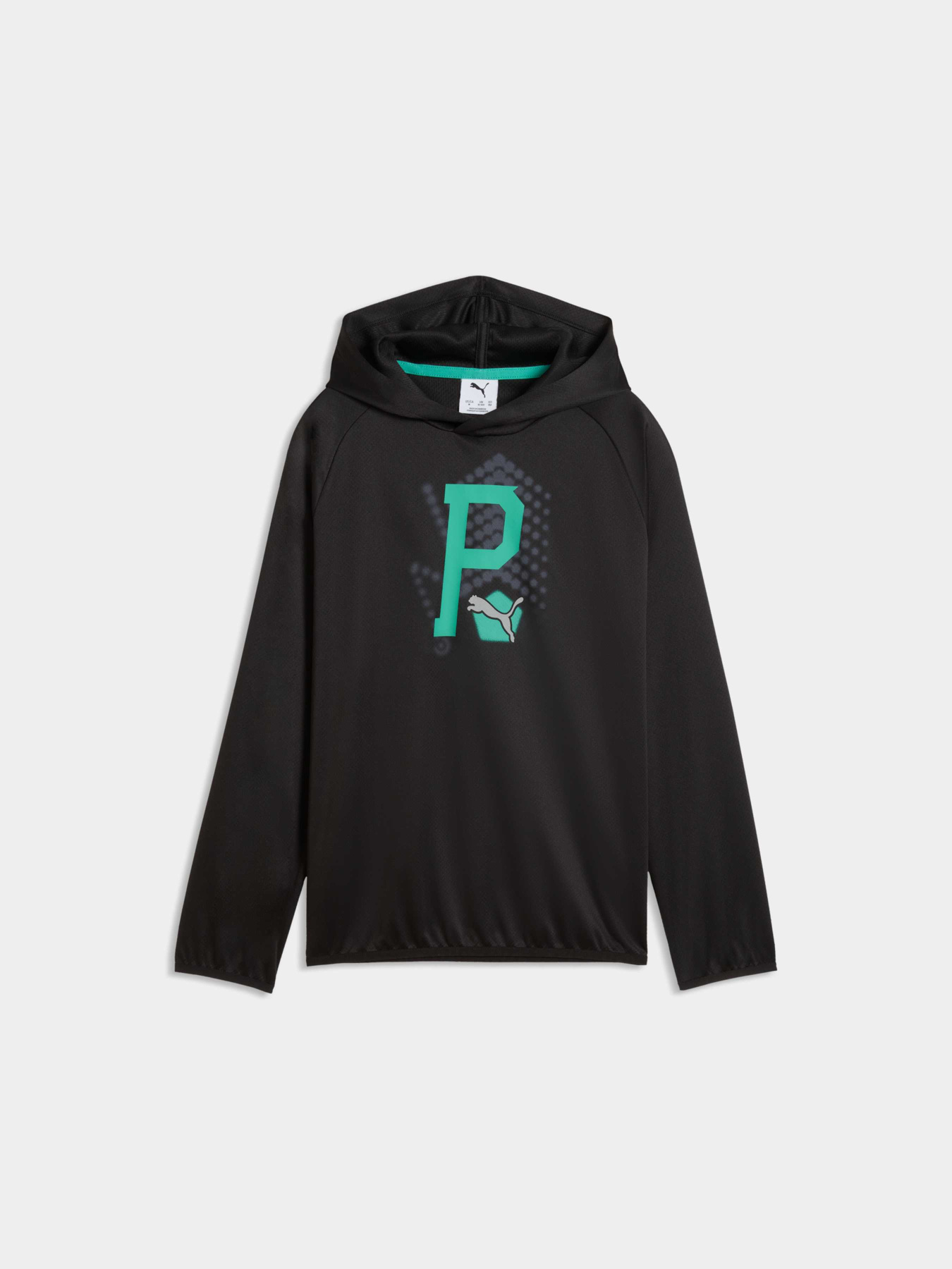 Худи и свитшоты PUMA Active Sports Hoodie модель 691757 Худи и свитшоты PUMA Active Sports Hoodie модель 691757 Фото