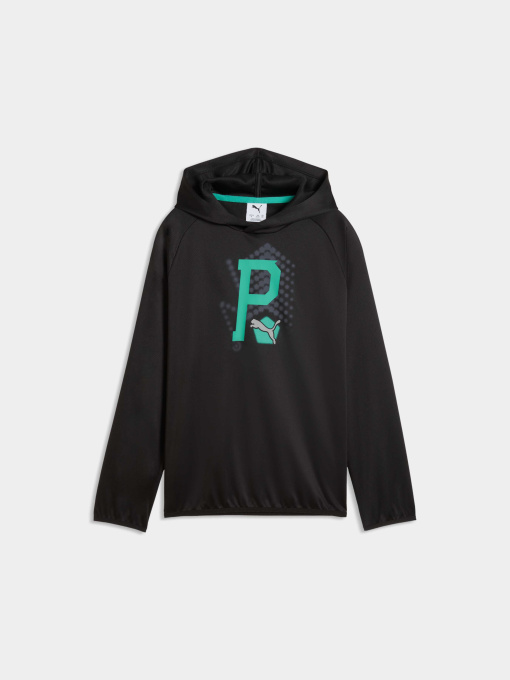 Худі та світшоти PUMA Active Sports Hoodie модель 691757 Фото