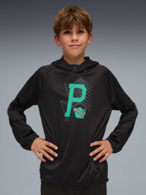 Худи и свитшоты PUMA Active Sports Hoodie модель 691757 Фото