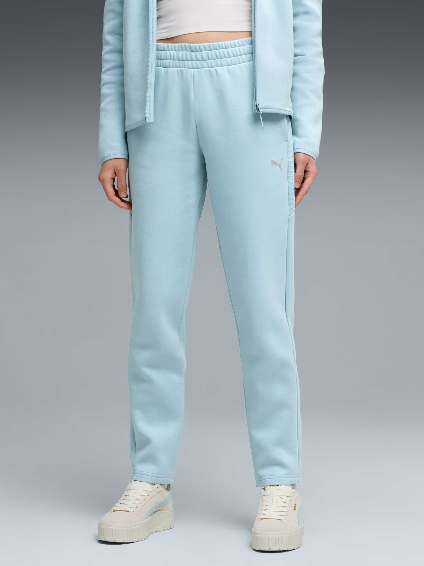 Брюки PUMA Evostripe Sweatpants Dk Op модель 691899 Фото