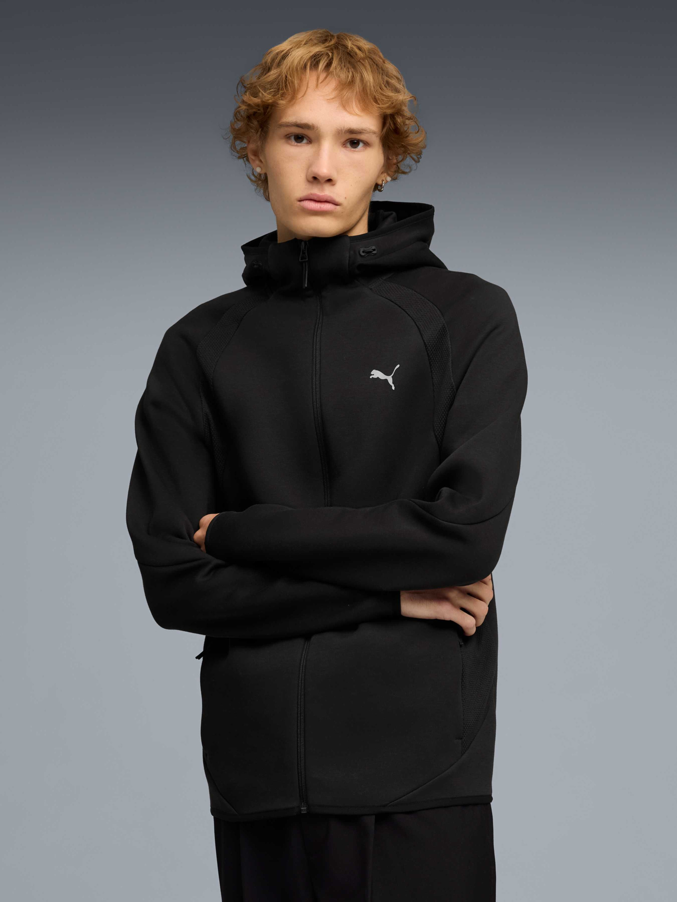 Худи и свитшоты PUMA Evostripe Fz Hoodie модель 692190 Фото