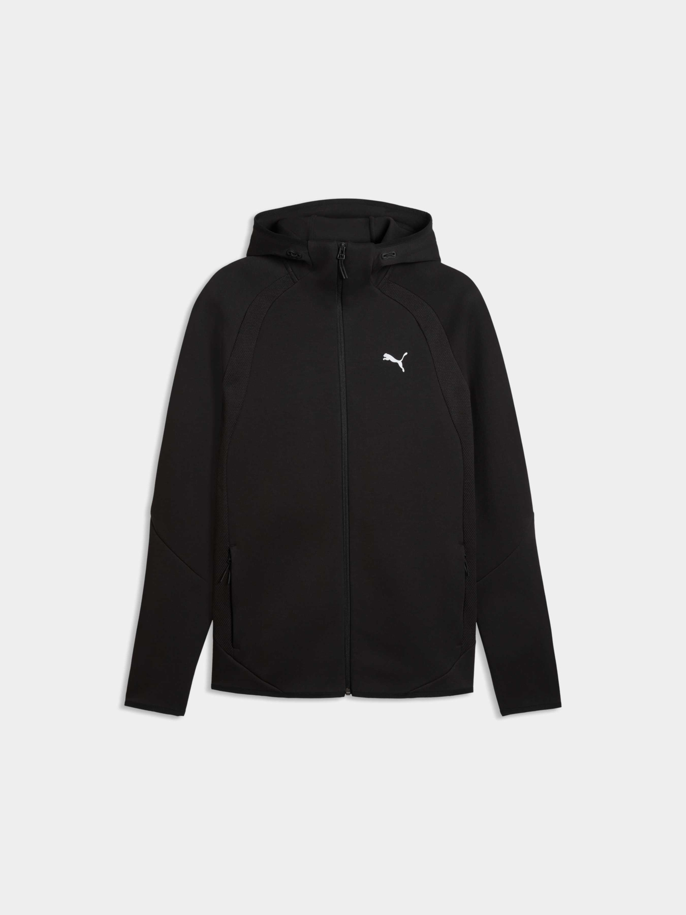 Худи и свитшоты PUMA Evostripe Fz Hoodie модель 692190 Фото