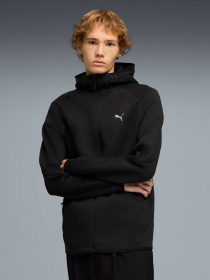 Худи и свитшоты PUMA Evostripe Fz Hoodie модель 692190 Фото
