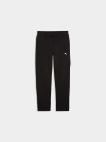 Брюки PUMA Evostripe Pants модель 692191 Фото