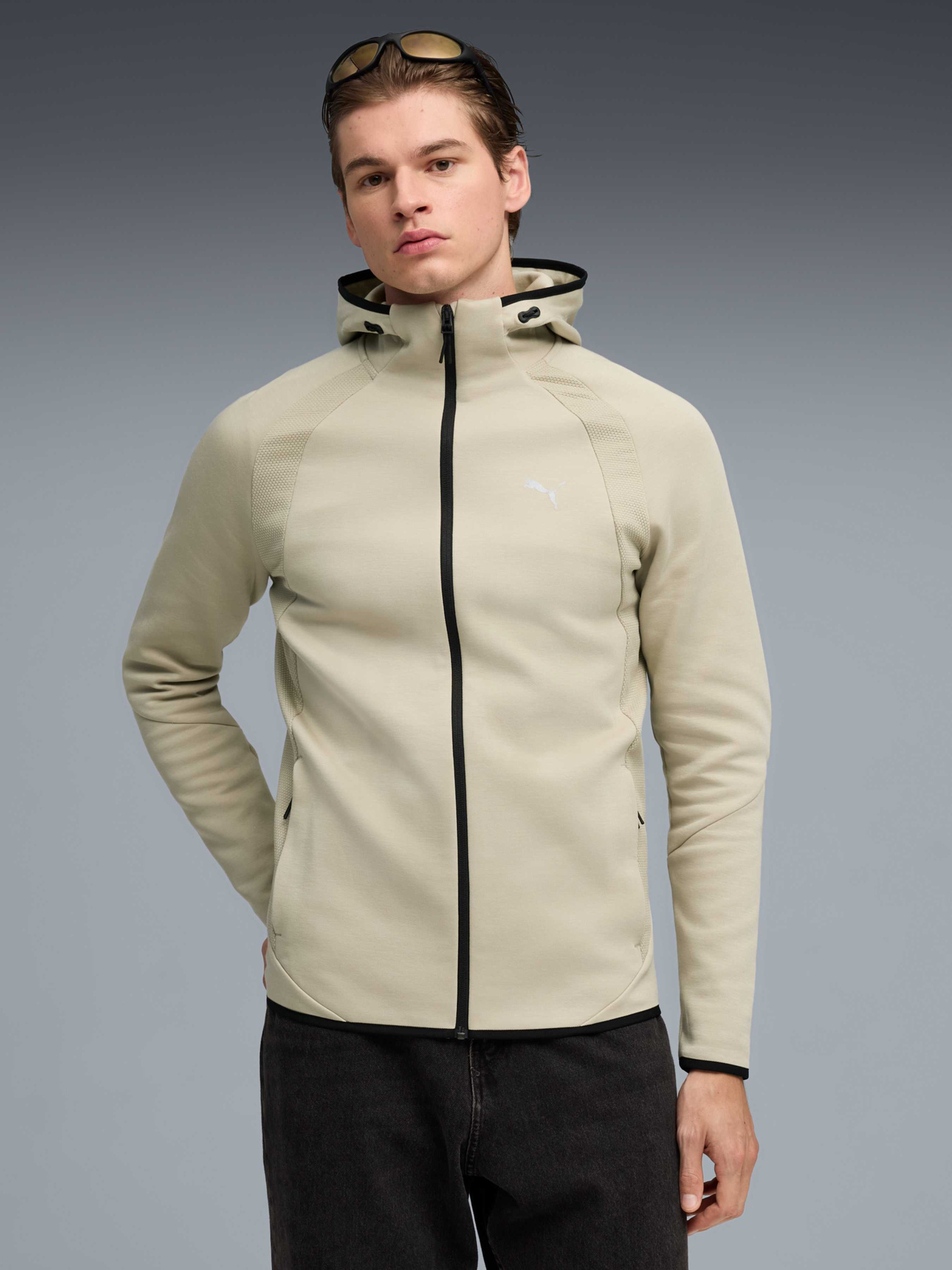 Худи и свитшоты PUMA Evostripe Fz Hoodie модель 692190 Худи и свитшоты PUMA Evostripe Fz Hoodie модель 692190 Фото
