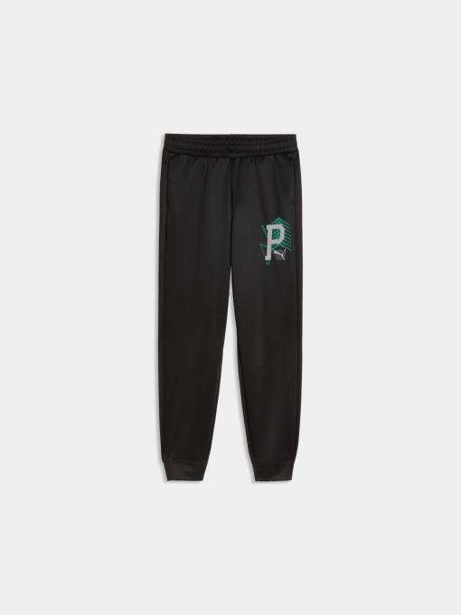 Брюки PUMA Active Sports Poly Pants модель 691758 Фото