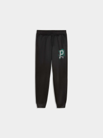 Брюки PUMA Active Sports Poly Pants модель 691758 Фото