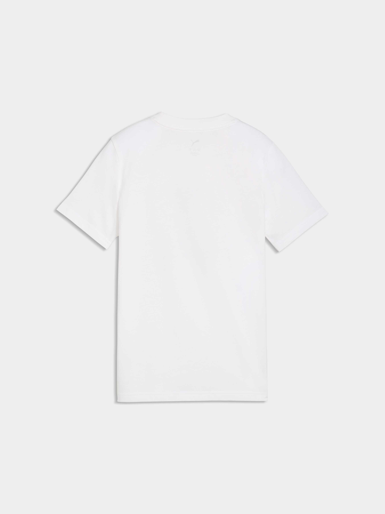 Футболки и поло PUMA Graphic Tee модель 691738 Фото