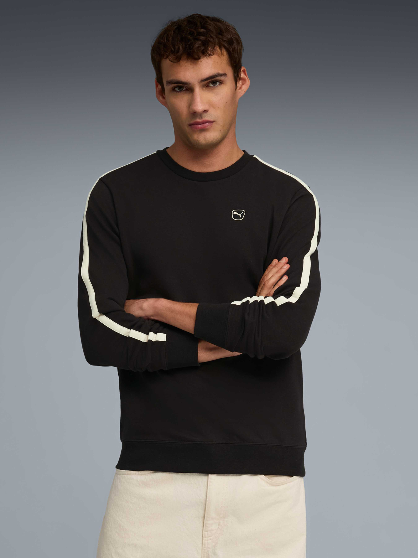 Худі та світшоти PUMA Ess Elevated Crew модель 692015 Худі та світшоти PUMA Ess Elevated Crew модель 692015 Фото