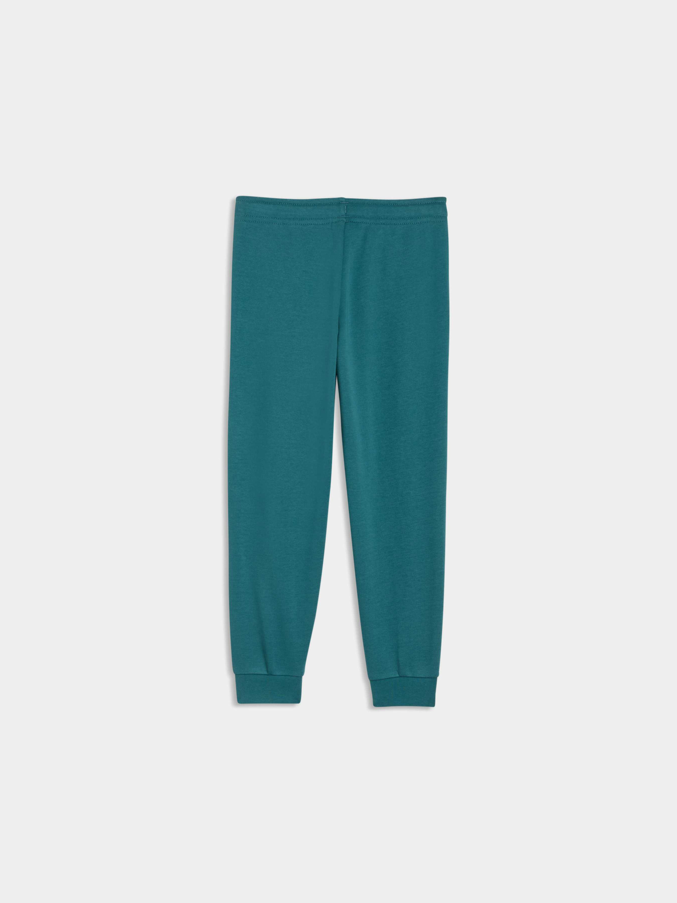 Брюки PUMA Super Sweatpants модель 691920 Фото