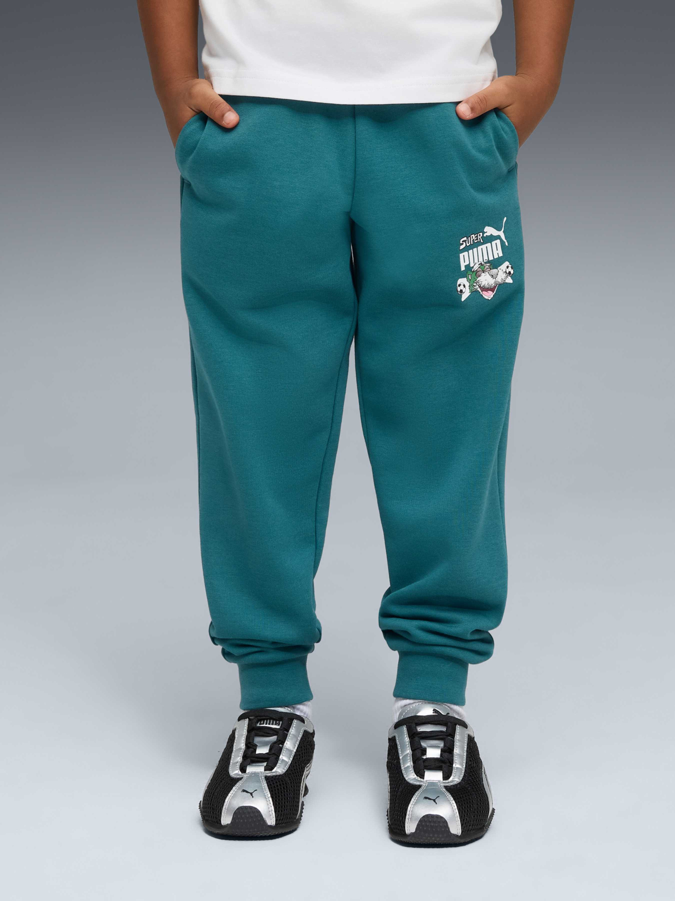 Брюки PUMA Super Sweatpants модель 691920 Фото
