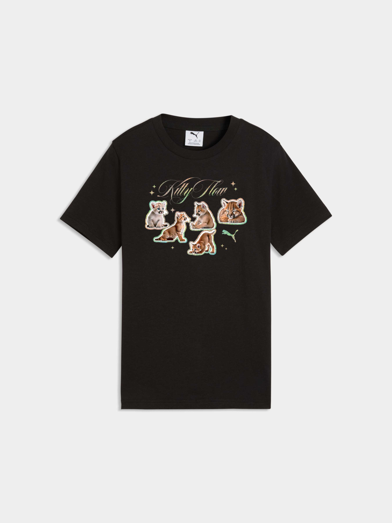 Футболки і поло PUMA Graphic Tee модель 634525 Футболки і поло PUMA Graphic Tee модель 634525 Фото
