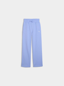 Брюки PUMA Wardrobe Ess Wide Sweatpants модель 629896 Фото