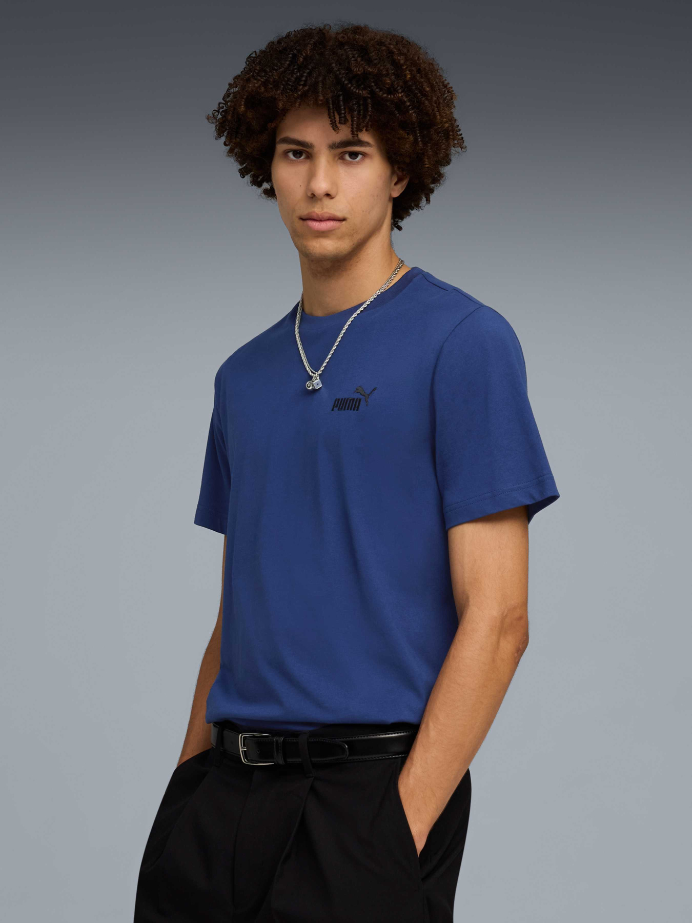 Футболки и поло PUMA Ess Small No. 1 Logo Tee модель 682535 Фото