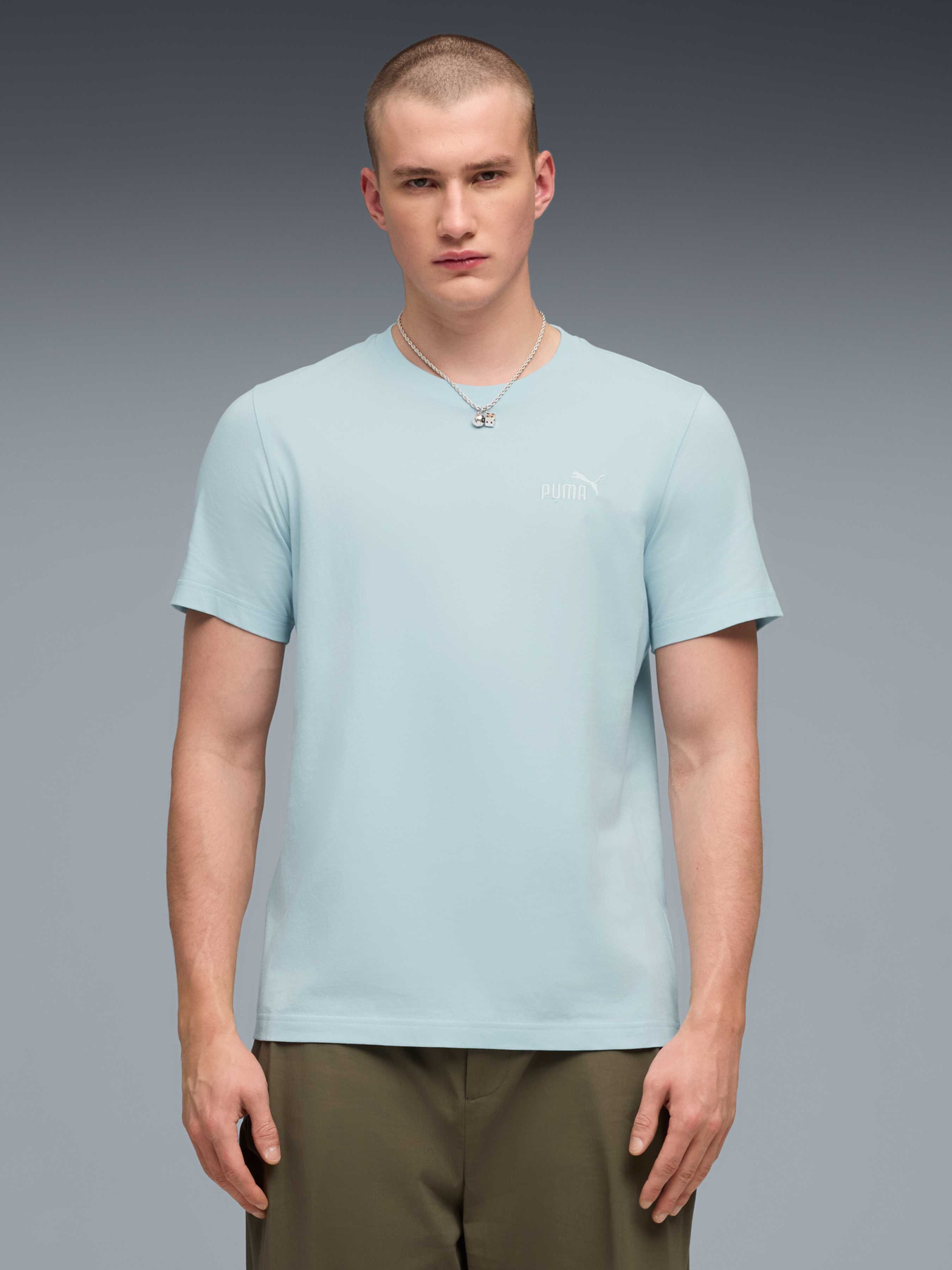 Футболки и поло PUMA Ess Small No. 1 Logo Tee модель 682535 Футболки и поло PUMA Ess Small No. 1 Logo Tee модель 682535 Фото
