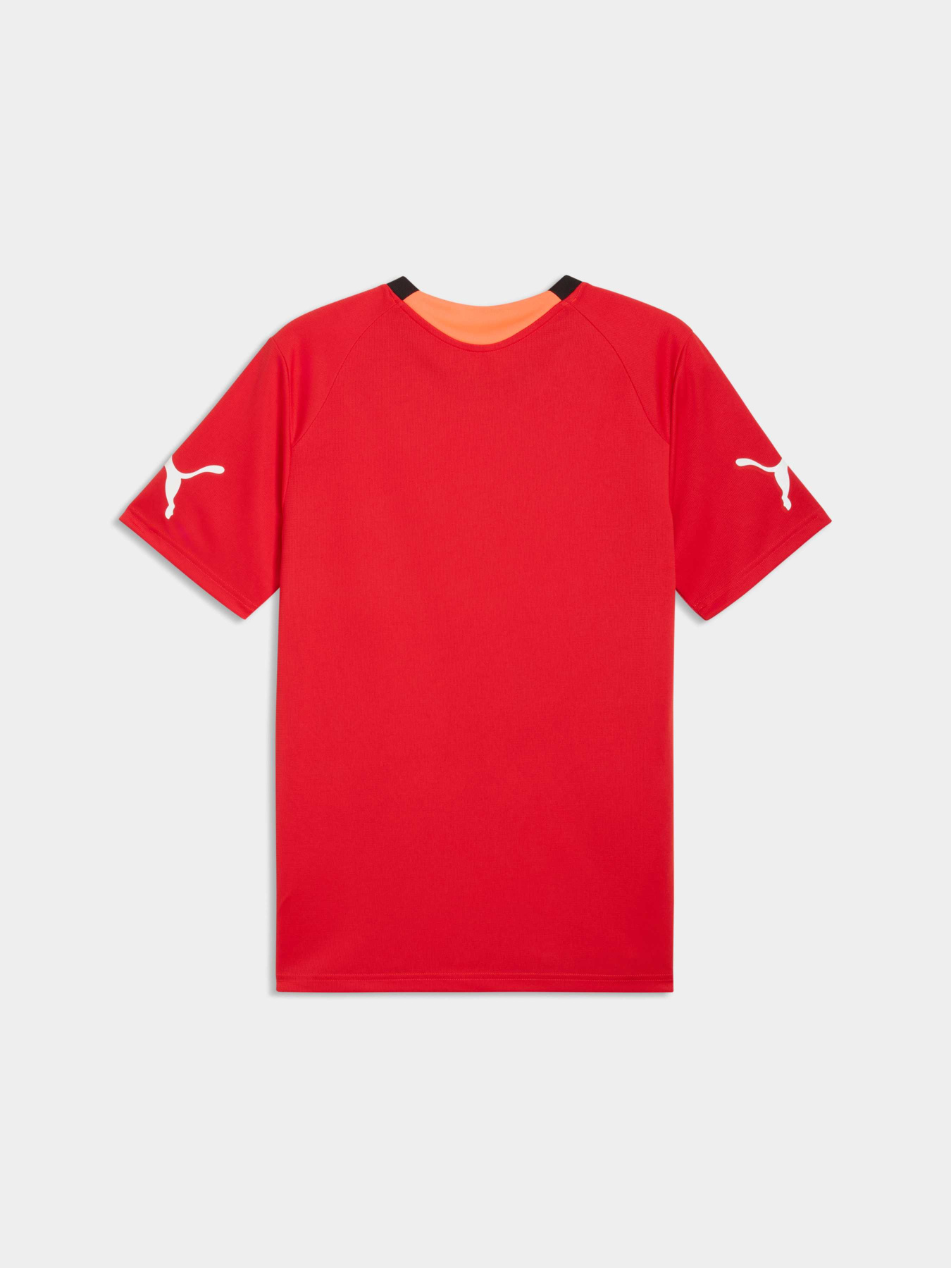 Футболки и поло PUMA Individualfinal Jersey модель 660424 Футболки и поло PUMA Individualfinal Jersey модель 660424 Фото