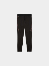 Штани PUMA Individualfinal Trg Pants модель 660431 Фото