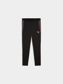 Штани PUMA Individualfinal Trg Pants модель 660431 Фото