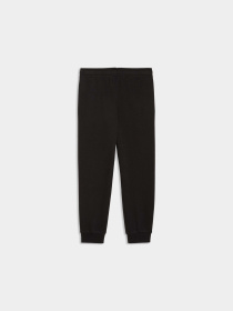 Брюки PUMA Super Sweatpants модель 691920 Фото