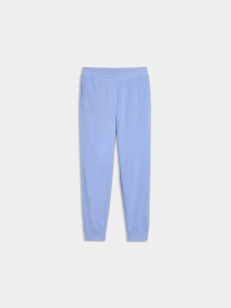 Брюки PUMA Ess Script Sweatpants модель 691763 Фото