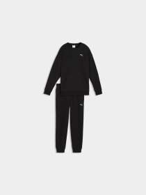 Костюми PUMA Relaxed Sweat Suit модель 691900 Фото