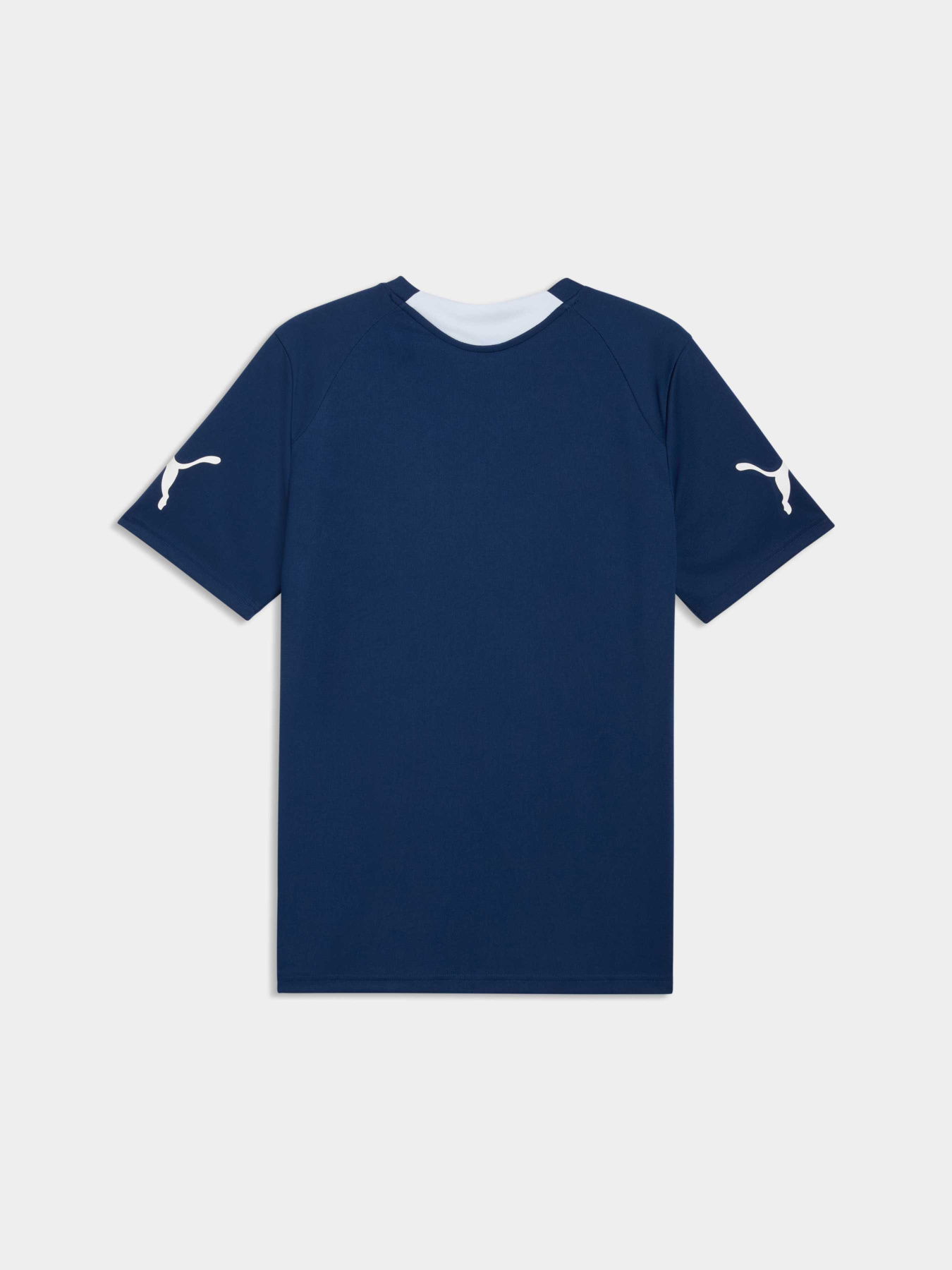Футболки и поло PUMA Individualfinal Jersey модель 660424 Футболки и поло PUMA Individualfinal Jersey модель 660424 Фото