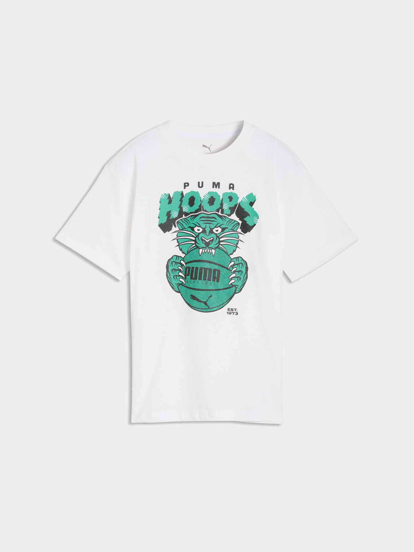 Футболки і поло PUMA Flagrant Foul Tee модель 635514 Фото