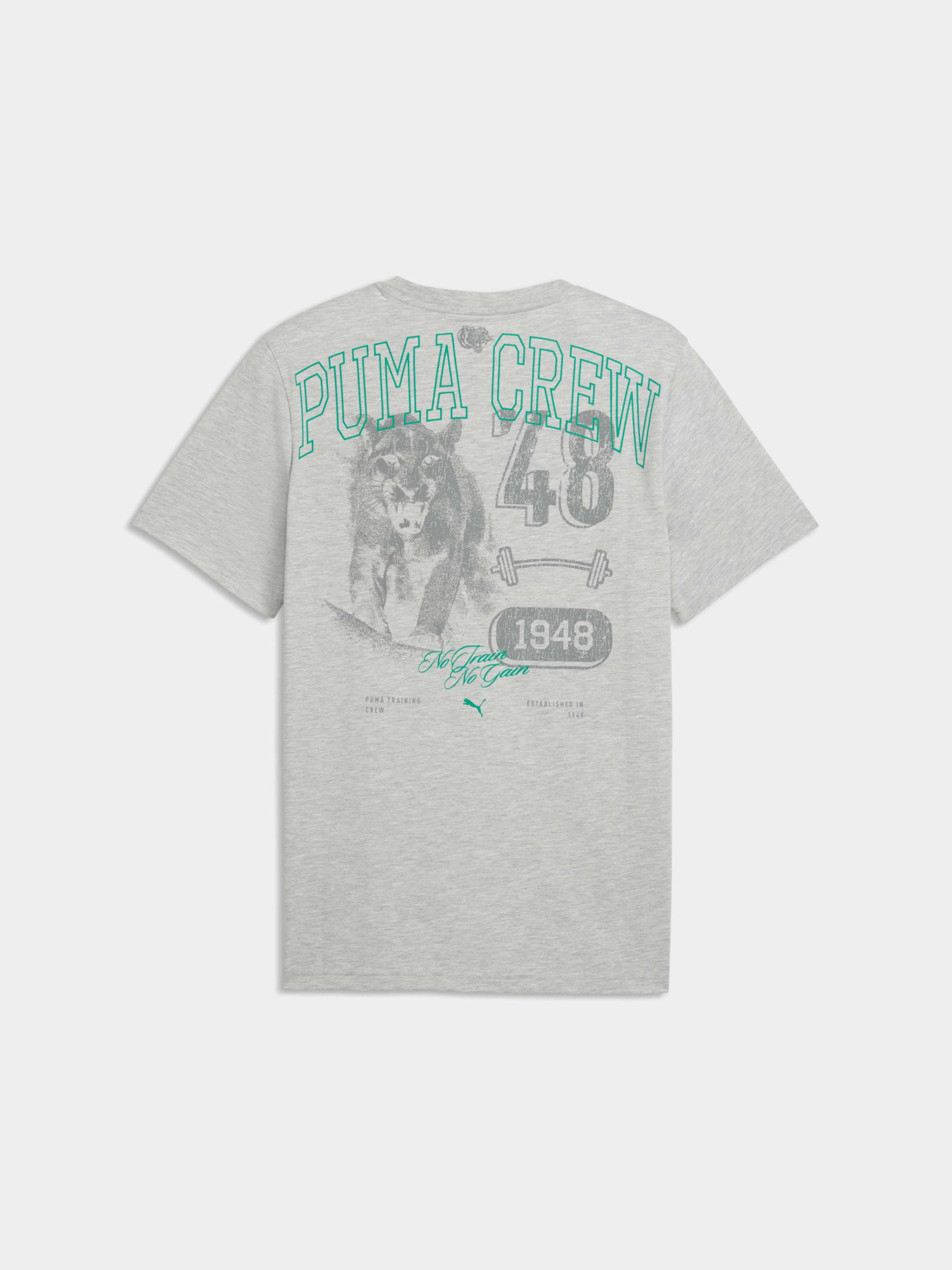 Футболки і поло PUMA M Graphic Tee 1 модель 528530 Футболки і поло PUMA M Graphic Tee 1 модель 528530 Фото