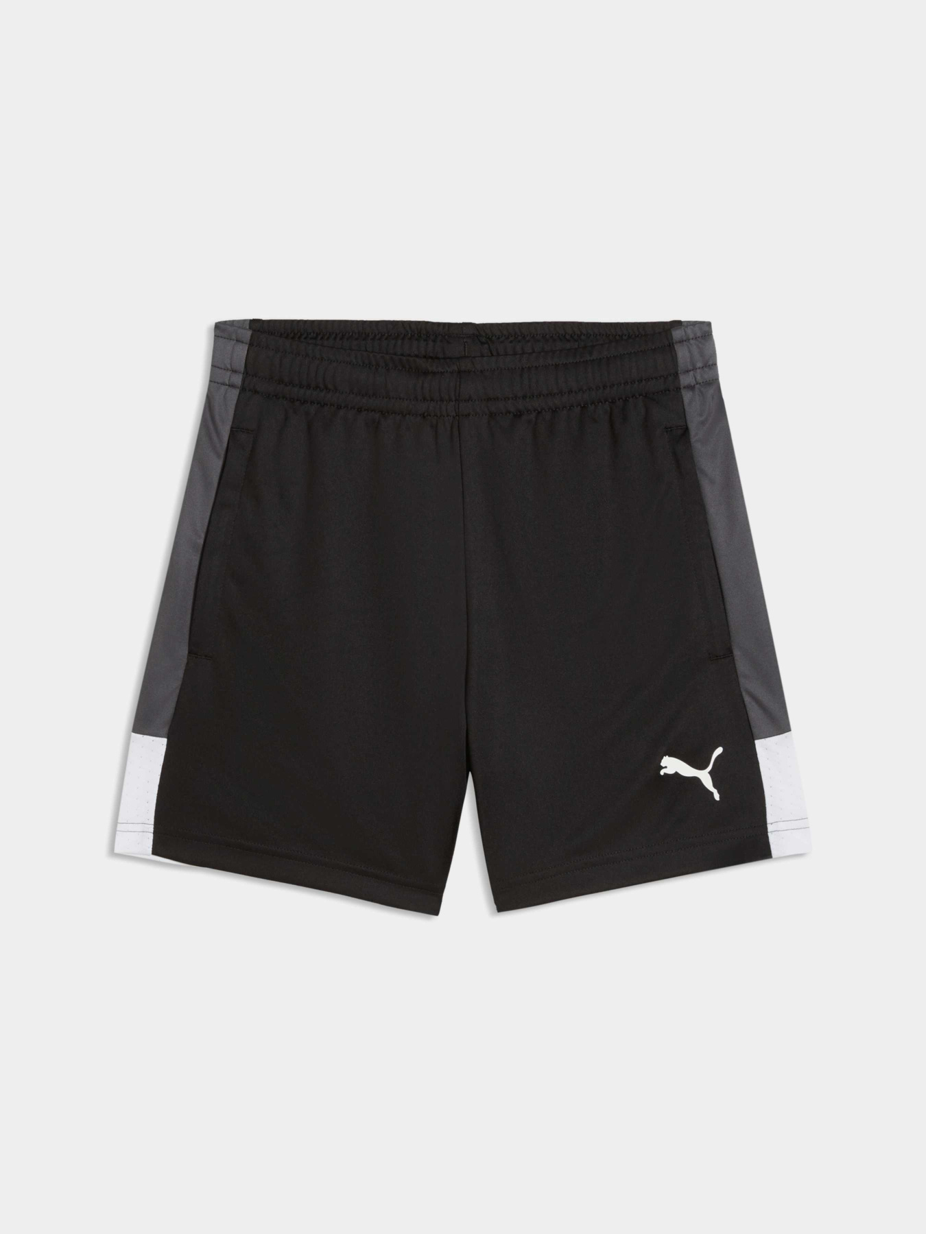 Шорты PUMA Individualliga Trg Shorts Jr модель 660575 Фото