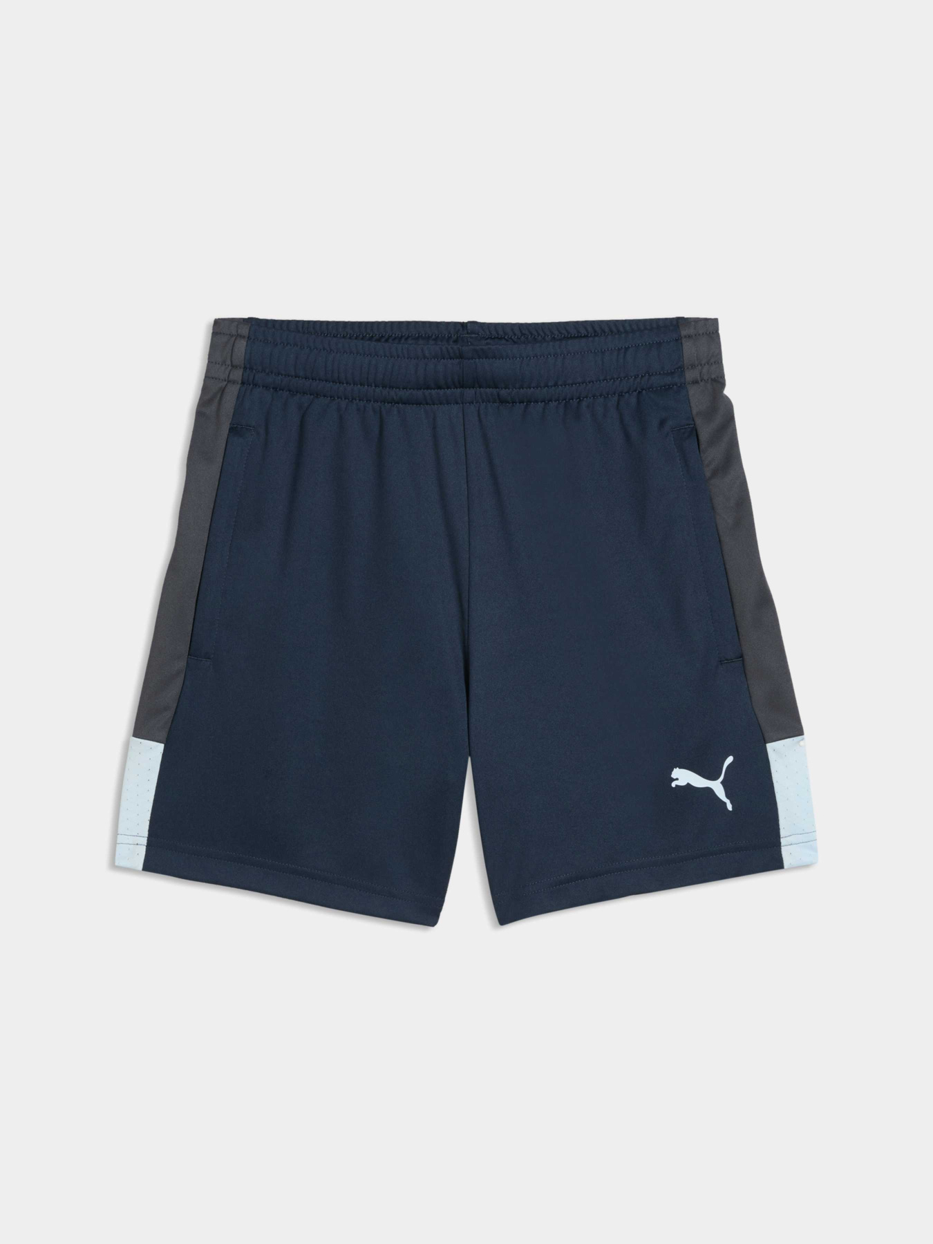 Шорты PUMA Individualliga Trg Shorts Jr модель 660575 Фото