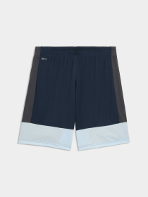 Шорты PUMA Individualliga Trg Shorts модель 660574 Фото