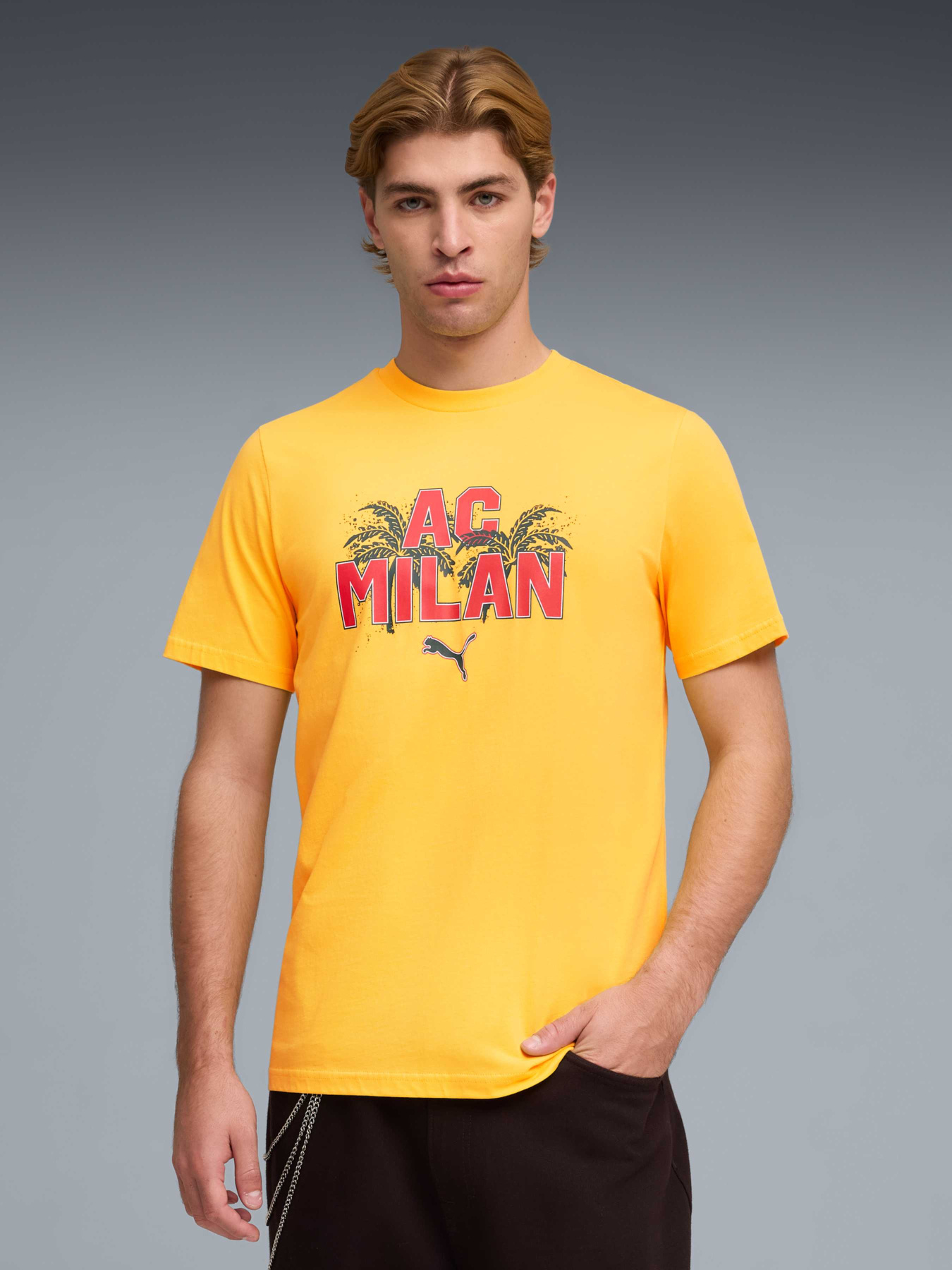 Футболки і поло PUMA Acm Ftblculture Tee модель 784718 Фото