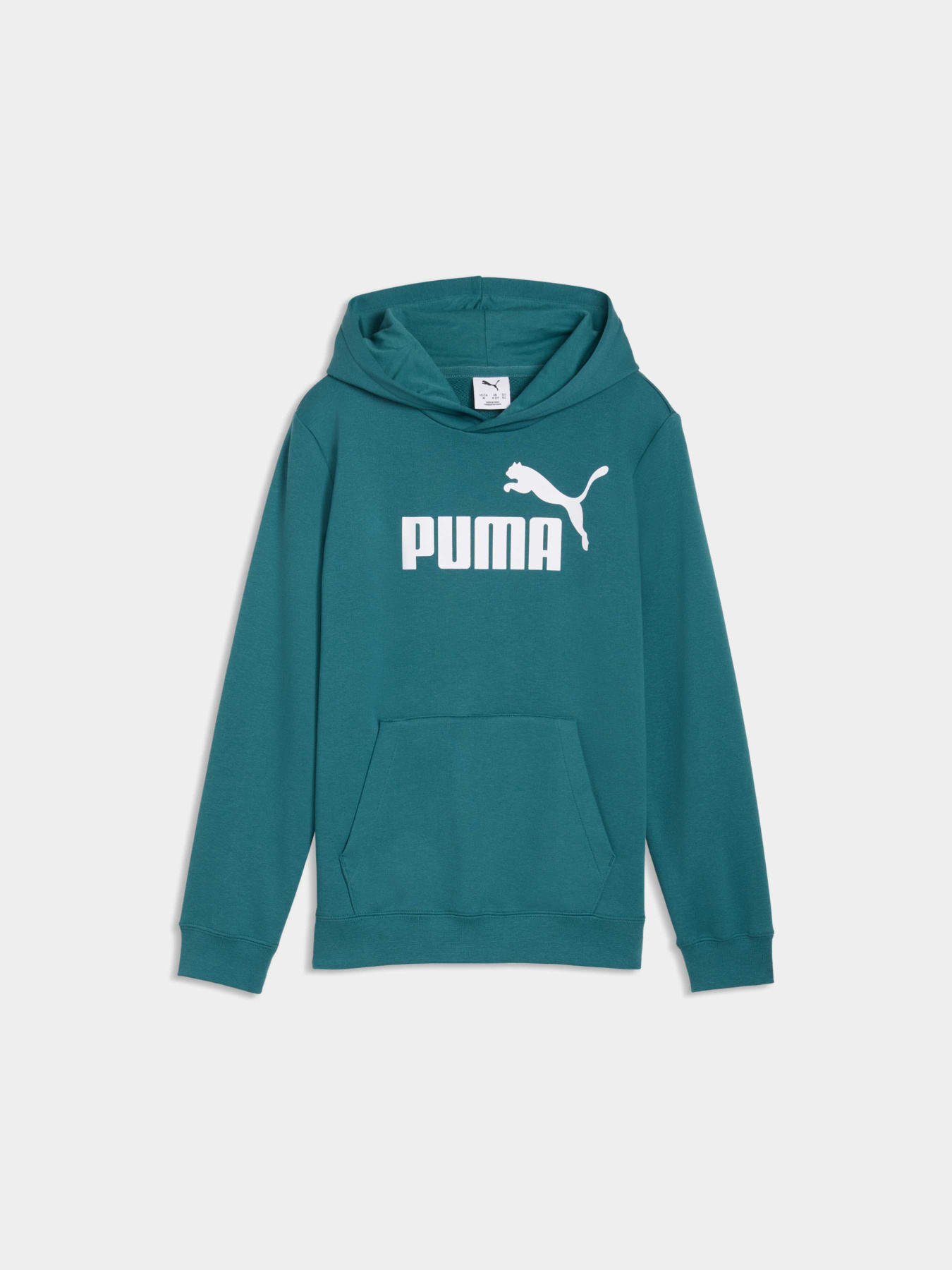 Худі та світшоти PUMA Ess No. 1 Logo Hoodie Tr модель 684909 Фото