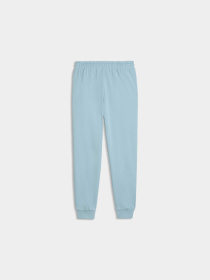 Штани PUMA Ess Elevated Sweatpants модель 691858 Фото