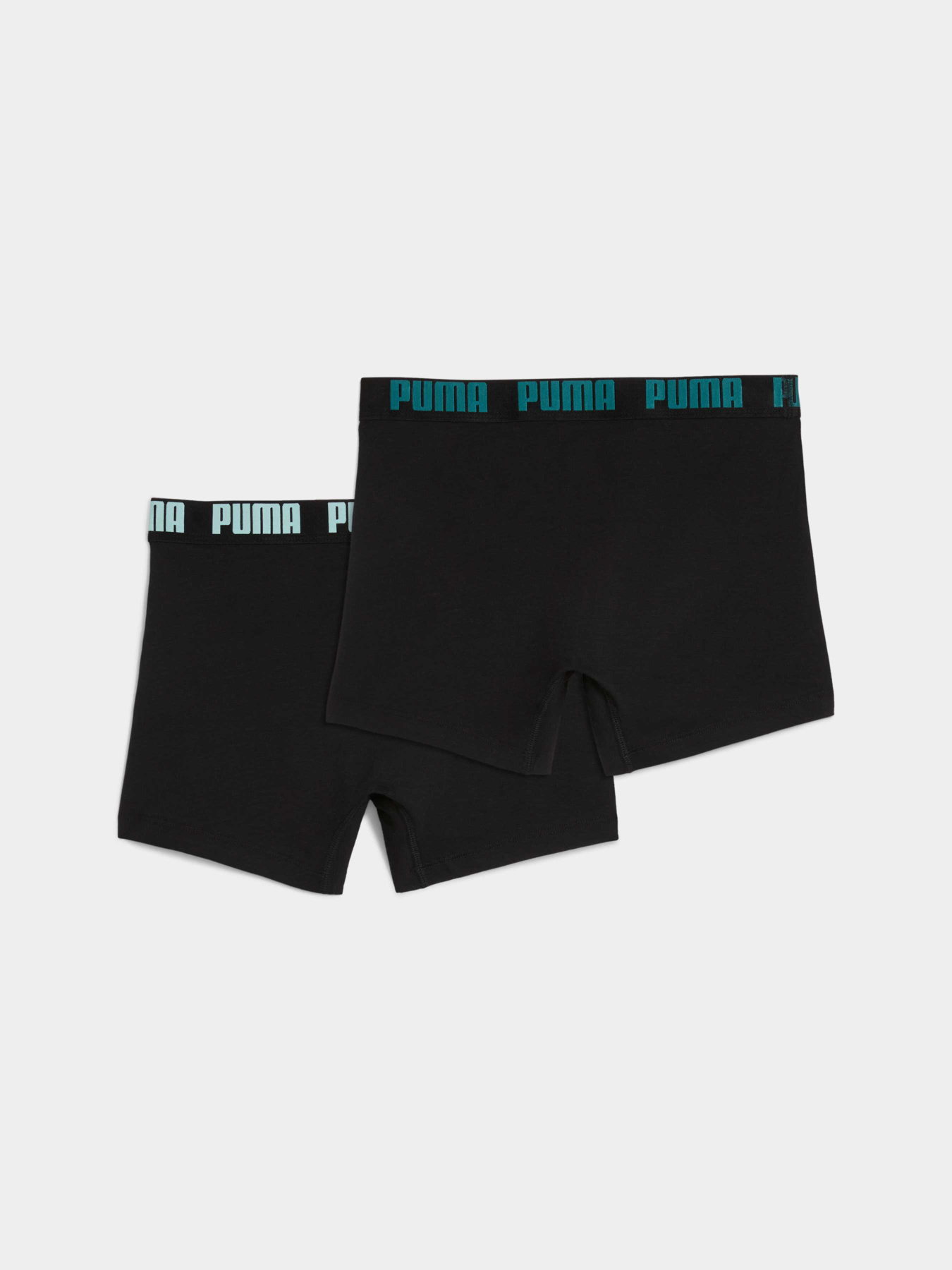 Нижнее белье PUMA Men Everyday Basic Boxe модель 938320 Фото