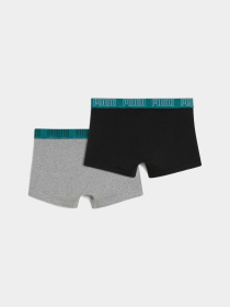 Нижнее белье PUMA Men Everyday Trunk 2p модель 938321 Фото