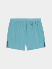 Шорты PUMA M Dreamrun 5 Drycell Short модель 528425 Фото