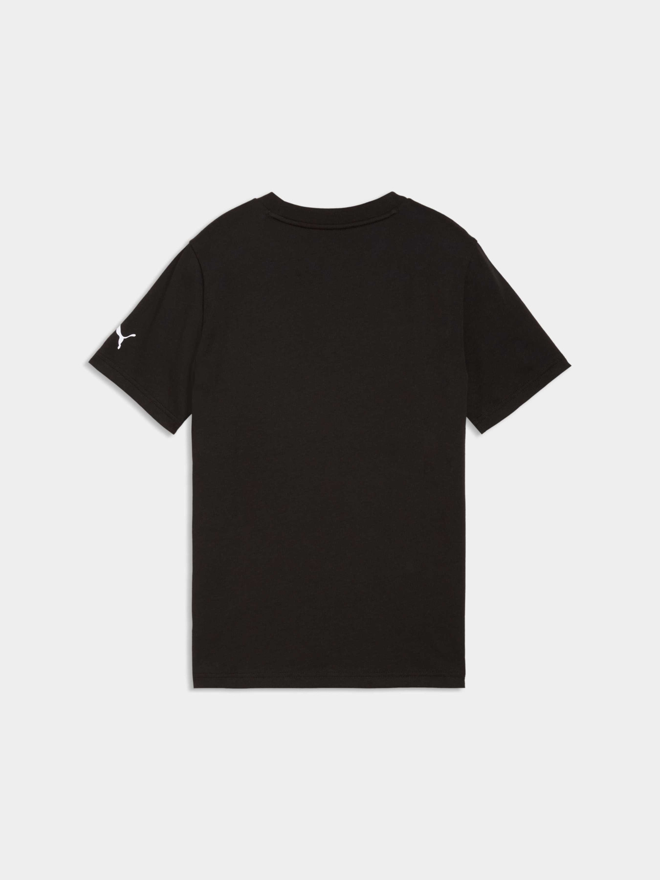 Футболки і поло PUMA Active Sports Graphic Tee модель 691752 Фото