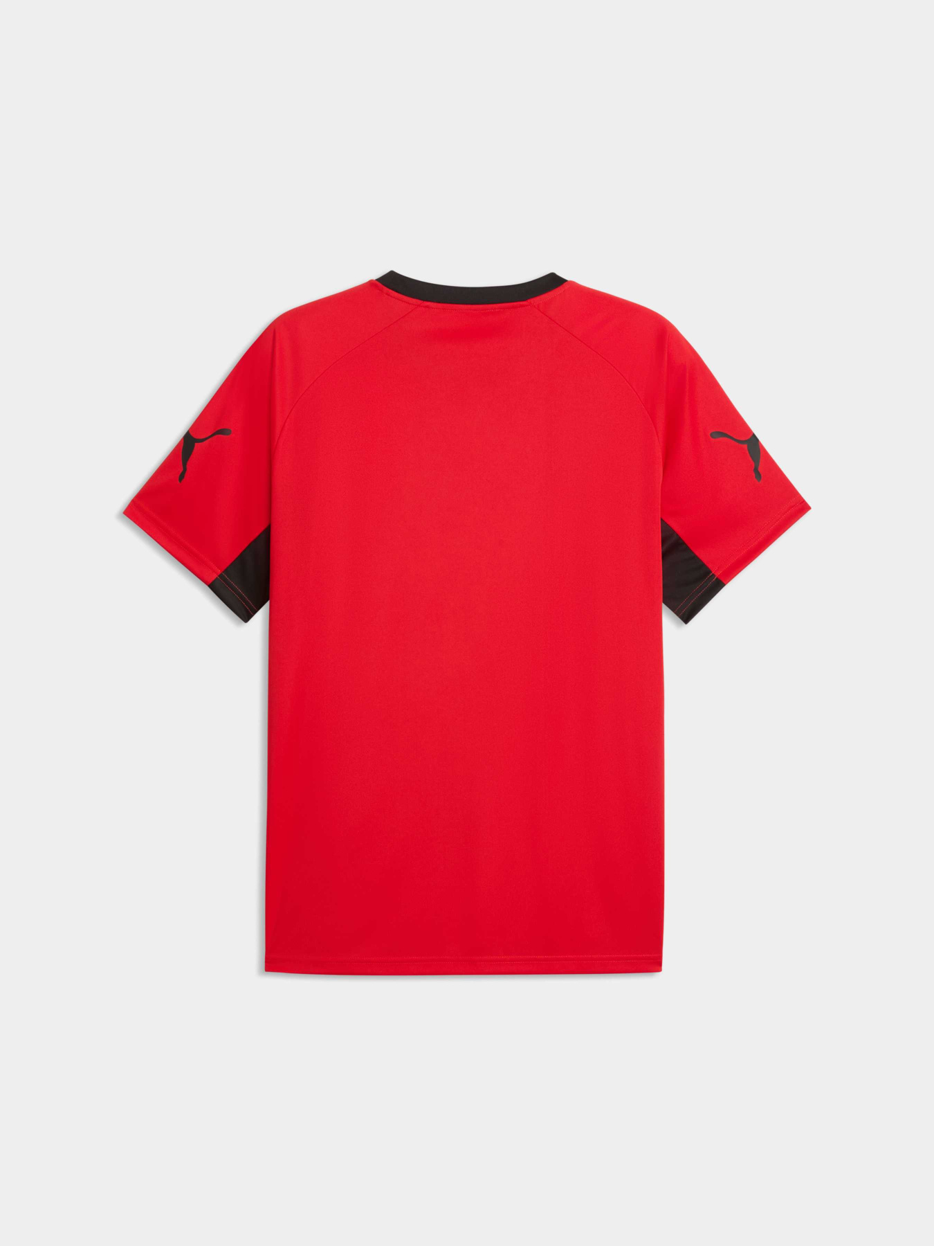 Футболки и поло PUMA Individualliga Graph Jersey модель 660578 Футболки и поло PUMA Individualliga Graph Jersey модель 660578 Фото