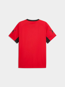 Футболки и поло PUMA Individualliga Graph Jersey модель 660578 Фото