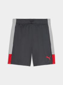 Шорты PUMA Individualliga Trg Shorts модель 660574 Фото