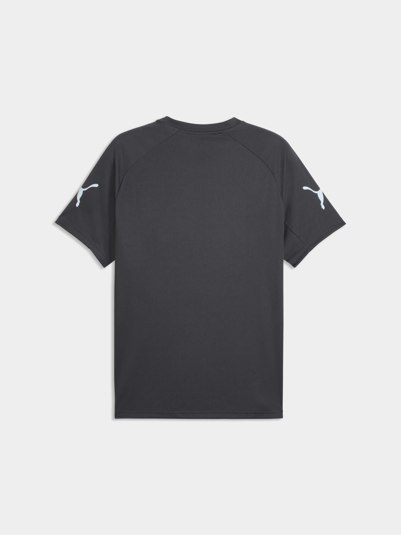 Футболки и поло PUMA Individualliga Graph Jersey модель 660578 Футболки и поло PUMA Individualliga Graph Jersey модель 660578 Фото